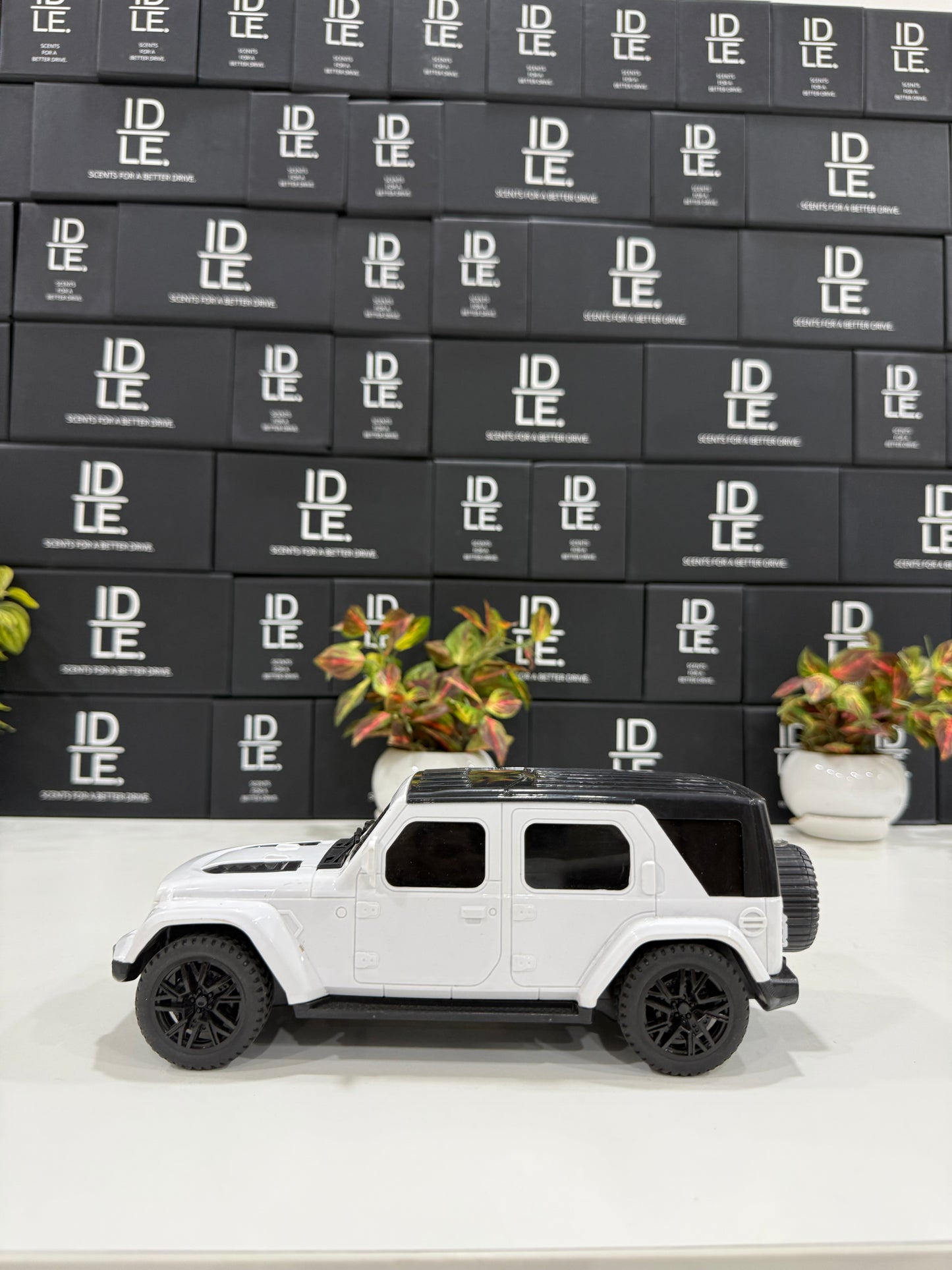 RC Thar Roxx